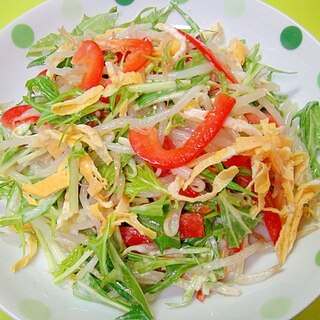 もやしとパプリカ水菜のうま塩マヨサラダ